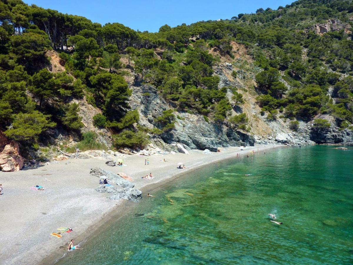 Le Balcon De La Mer-Piscine-Wifi-Pkg Begur Dış mekan fotoğraf